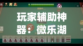 玩家辅助神器：微乐湖南麻将到底有没有挂(透视)”开挂辅助脚本+详细开挂安装教程