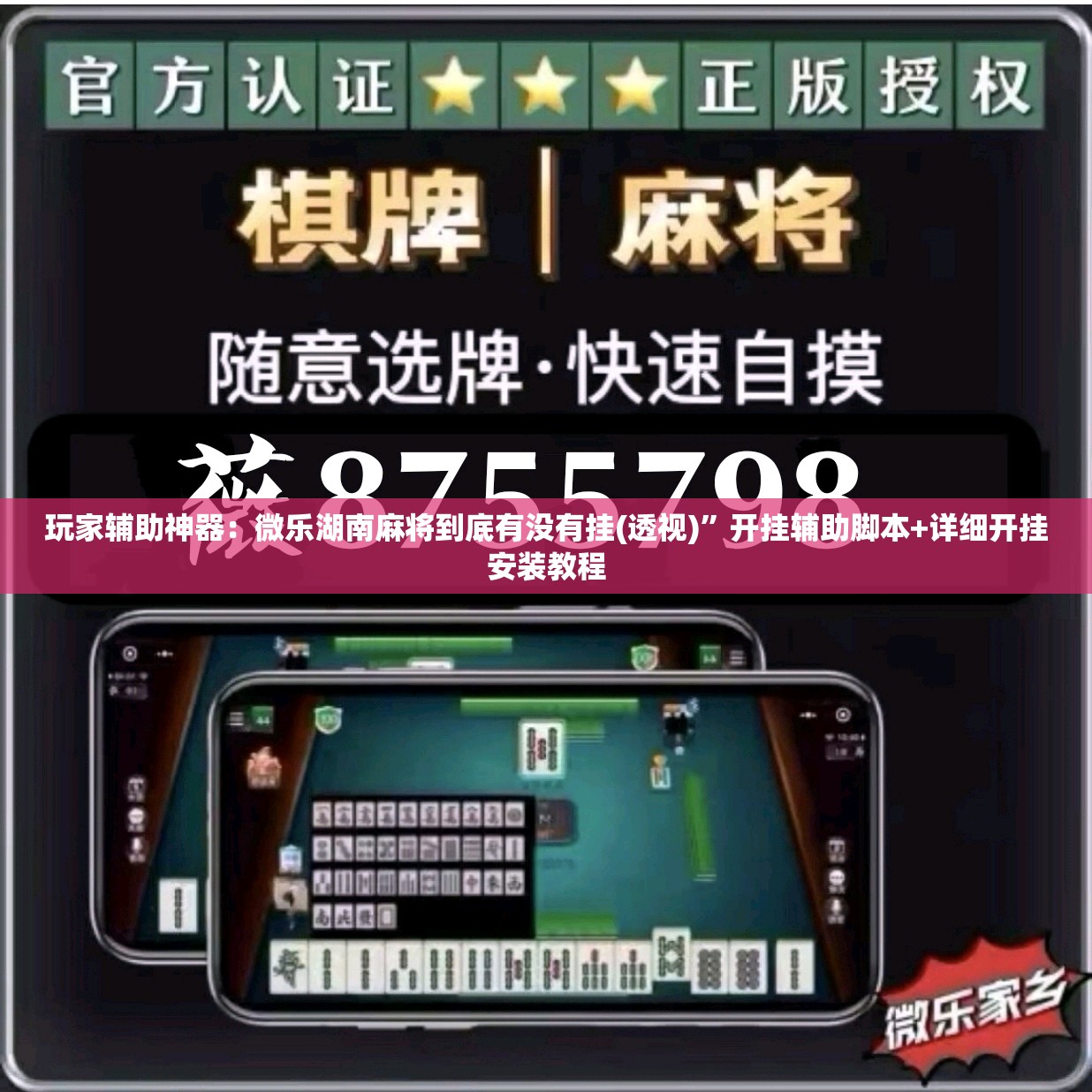 玩家辅助神器：微乐湖南麻将到底有没有挂(透视)	”开挂辅助脚本+详细开挂安装教程