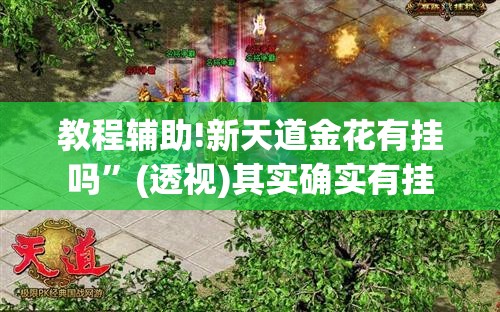 教程辅助!新天道金花有挂吗”(透视)其实确实有挂