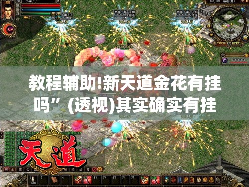 教程辅助!新天道金花有挂吗”(透视)其实确实有挂