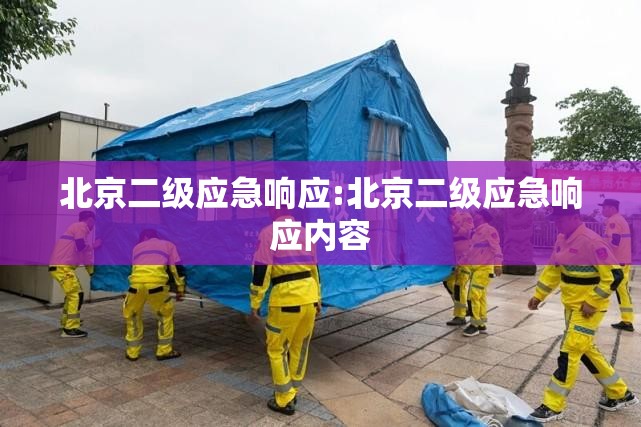北京二级应急响应:北京二级应急响应内容