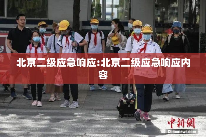北京二级应急响应:北京二级应急响应内容