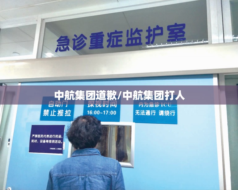 中航集团道歉/中航集团打人