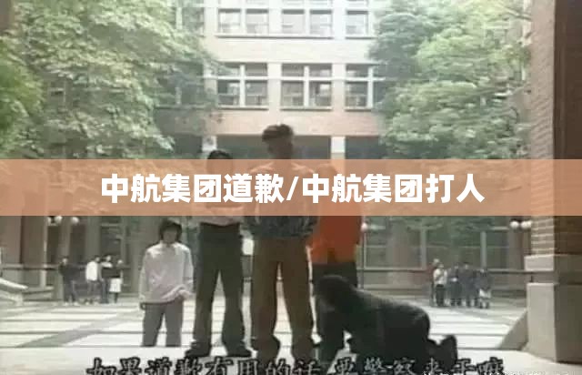 中航集团道歉/中航集团打人