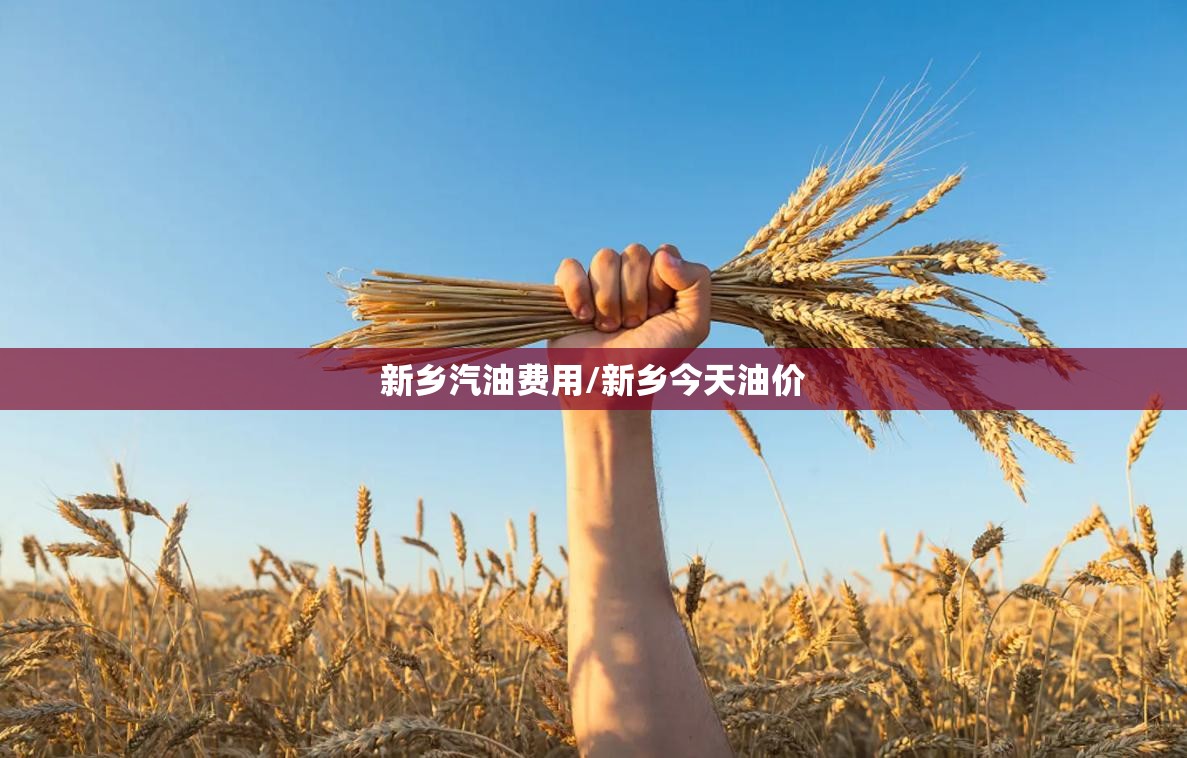 新乡汽油费用/新乡今天油价