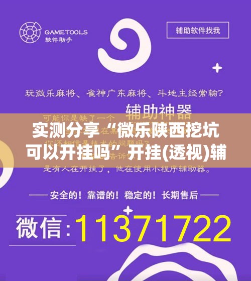 实测分享“微乐陕西挖坑可以开挂吗”开挂(透视)辅助教程