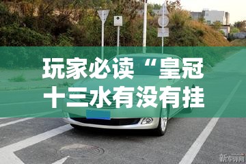 玩家必读“皇冠十三水有没有挂”其实确实有挂