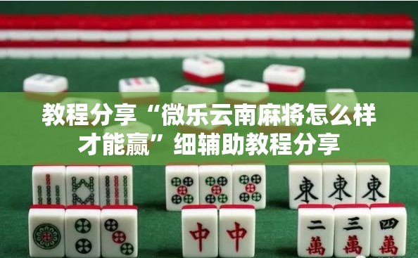 教程分享“微乐云南麻将怎么样才能赢”细辅助教程分享