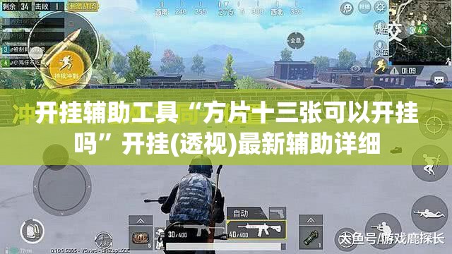 开挂辅助工具“方片十三张可以开挂吗	”开挂(透视)最新辅助详细