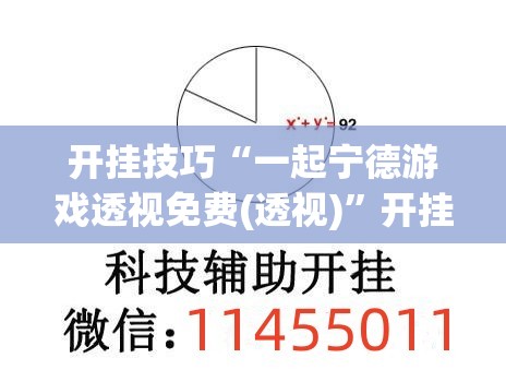 开挂技巧“一起宁德游戏透视免费(透视)	”开挂辅助脚本+详细开挂安装教程