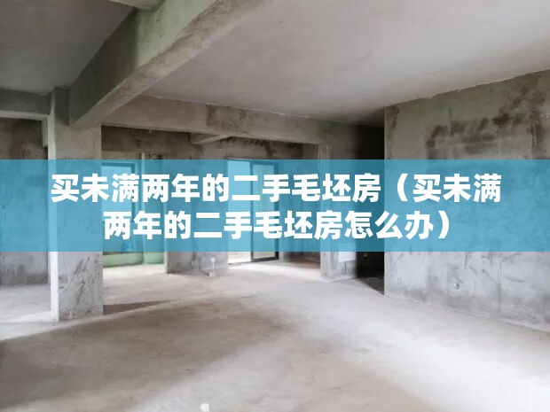 买未满两年的二手毛坯房（买未满两年的二手毛坯房怎么办）