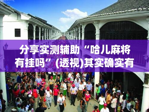 分享实测辅助“哈儿麻将有挂吗”(透视)其实确实有挂