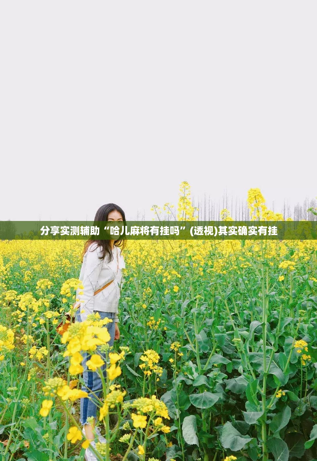 分享实测辅助“哈儿麻将有挂吗”(透视)其实确实有挂