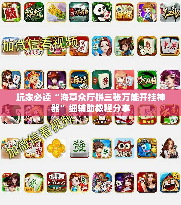 玩家必读“海草众厅拼三张万能开挂神器”细辅助教程分享