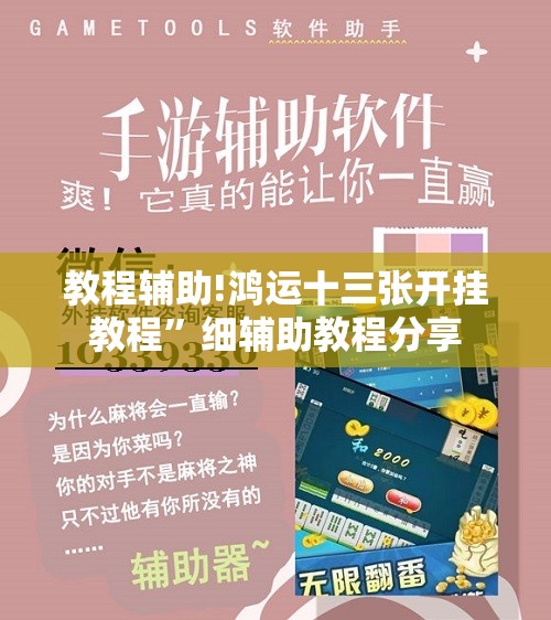 教程辅助!鸿运十三张开挂教程	”细辅助教程分享