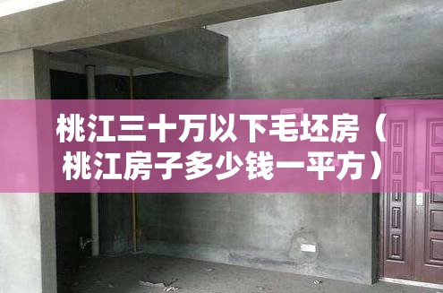 桃江三十万以下毛坯房（桃江房子多少钱一平方）