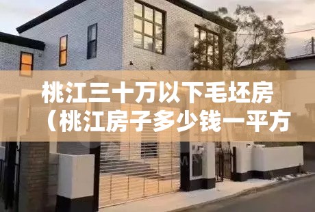 桃江三十万以下毛坯房（桃江房子多少钱一平方）