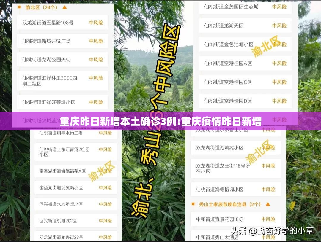 重庆昨日新增本土确诊3例:重庆疫情昨日新增