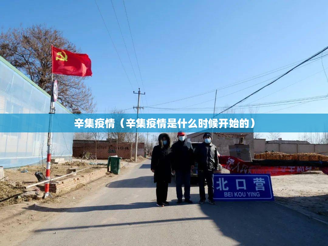 辛集疫情（辛集疫情是什么时候开始的）