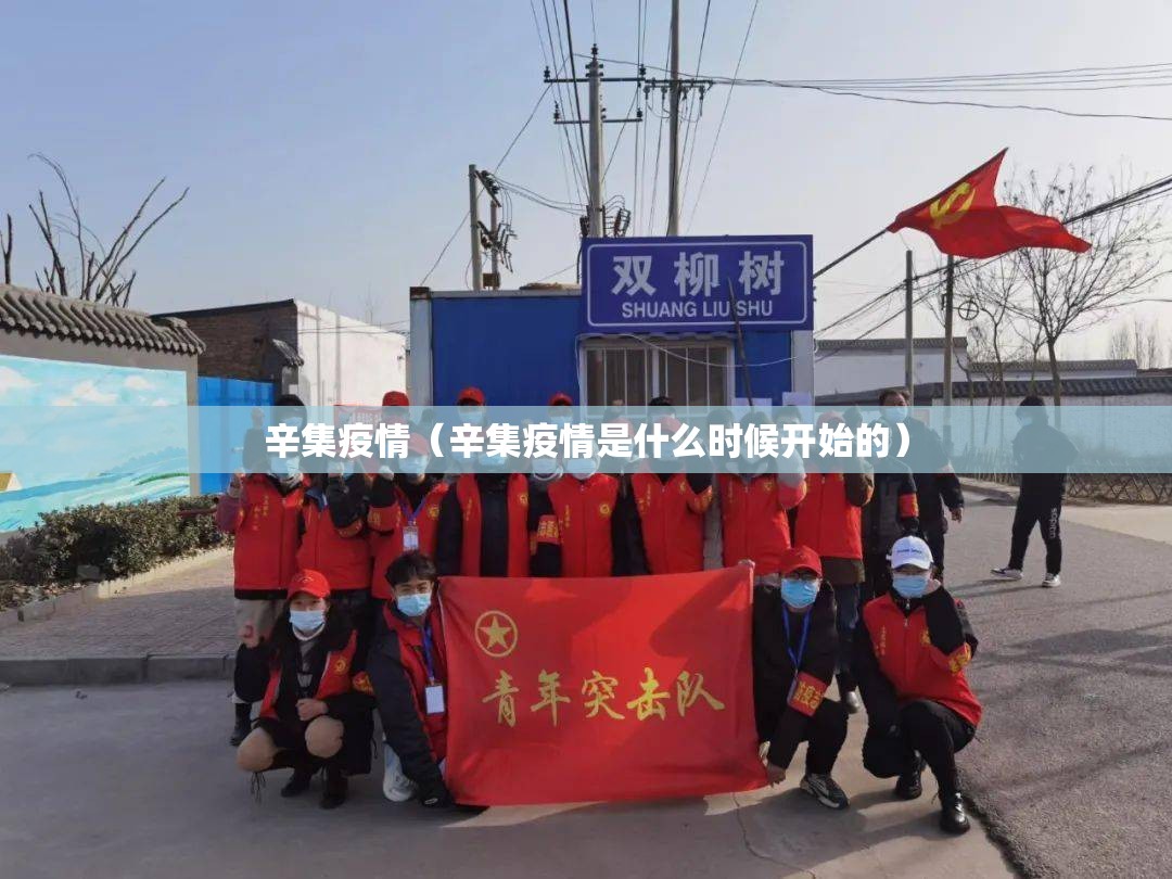 辛集疫情（辛集疫情是什么时候开始的）