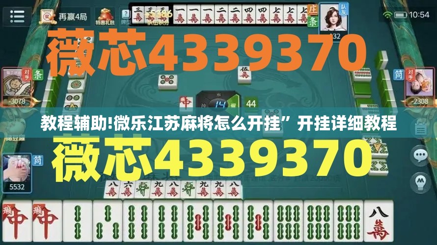 教程辅助!微乐江苏麻将怎么开挂	”开挂详细教程