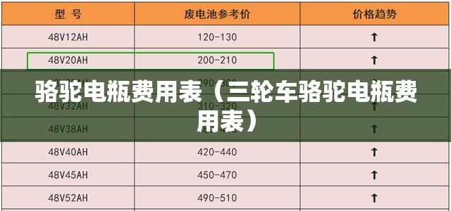 骆驼电瓶费用表（三轮车骆驼电瓶费用表）