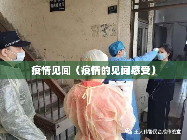 疫情见闻（疫情的见闻感受）
