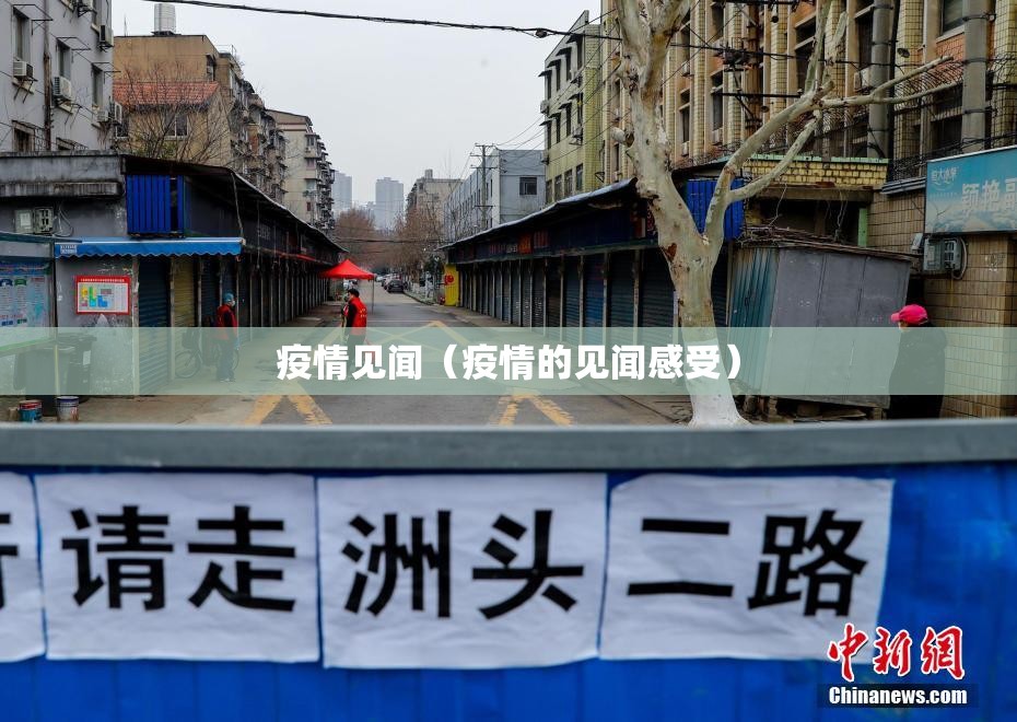 疫情见闻（疫情的见闻感受）