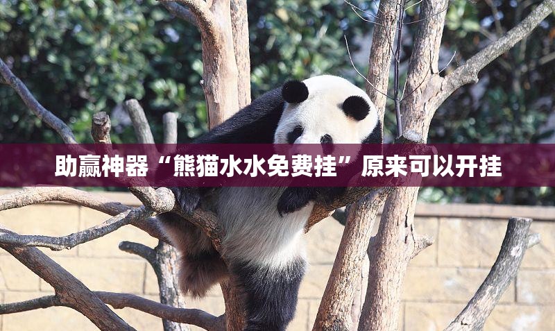 助赢神器“熊猫水水免费挂”原来可以开挂