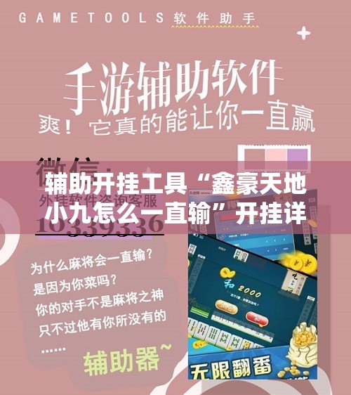 辅助开挂工具“鑫豪天地小九怎么一直输”开挂详细教程