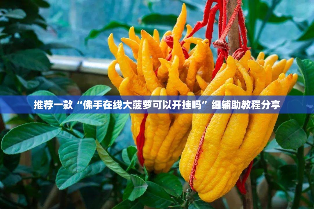 推荐一款“佛手在线大菠萝可以开挂吗”细辅助教程分享
