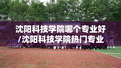 沈阳科技学院哪个专业好/沈阳科技学院热门专业 沈阳科技学院哪个专业好/沈阳科技学院热门专业