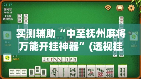 实测辅助“中至抚州麻将万能开挂神器”(透视挂)辅助下载教程