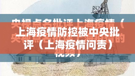 上海疫情防控被中央批评（上海疫情问责）