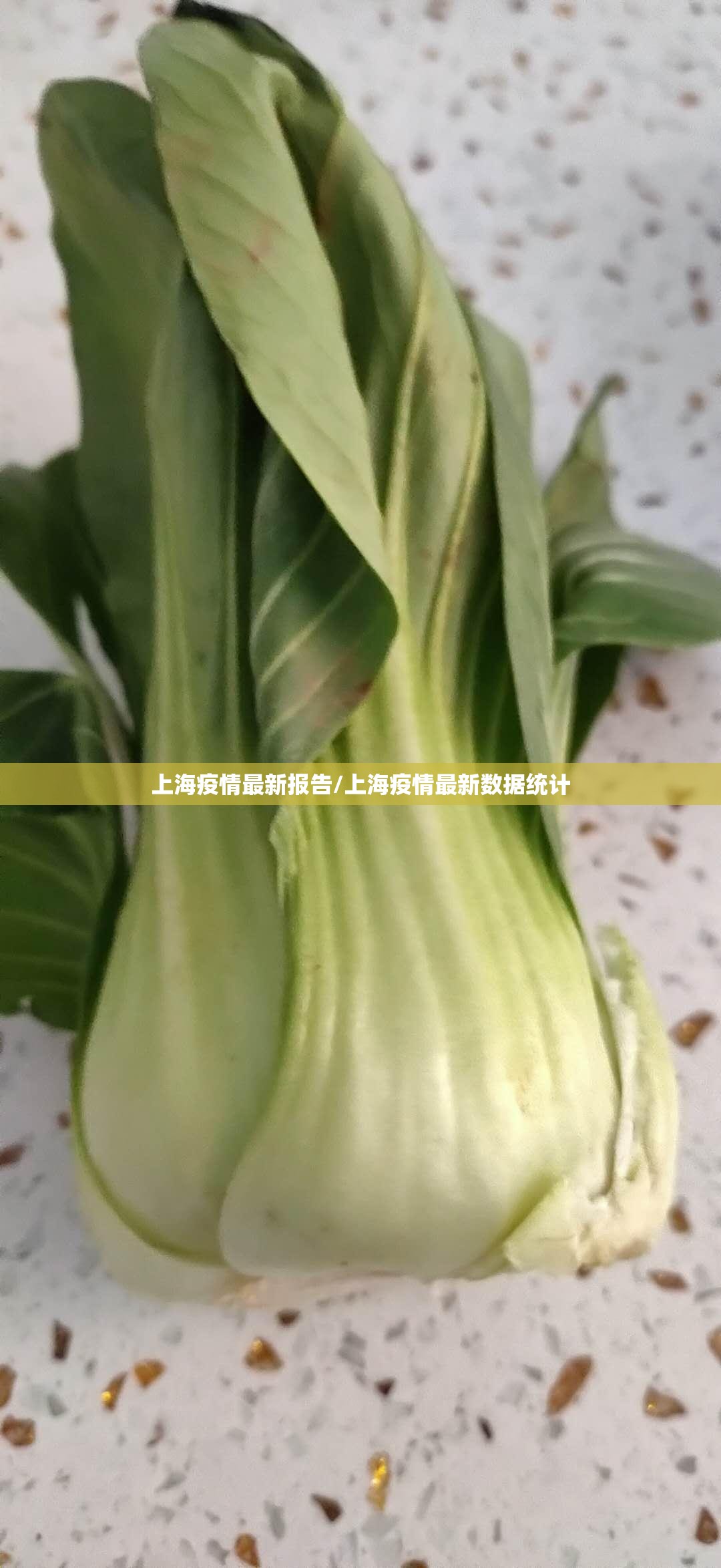 上海疫情最新报告/上海疫情最新数据统计