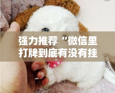 强力推荐“微信里打牌到底有没有挂”详细开挂教程