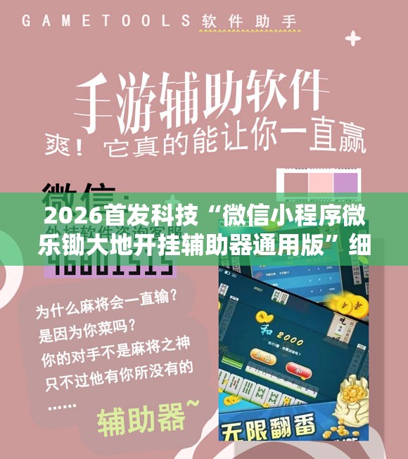 2026首发科技“微信小程序微乐锄大地开挂辅助器通用版”细辅助教程分享