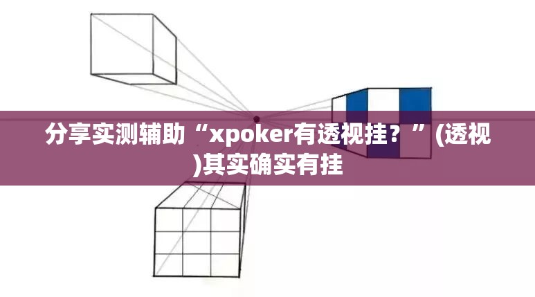 分享实测辅助“xpoker有透视挂？”(透视)其实确实有挂