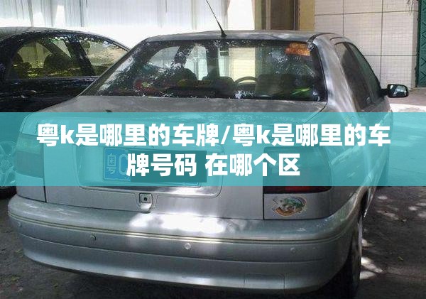 粤k是哪里的车牌/粤k是哪里的车牌号码 在哪个区