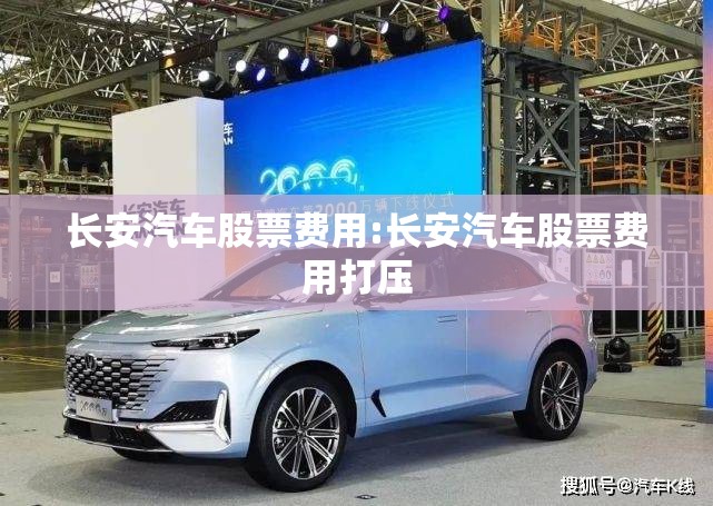 长安汽车股票费用:长安汽车股票费用打压
