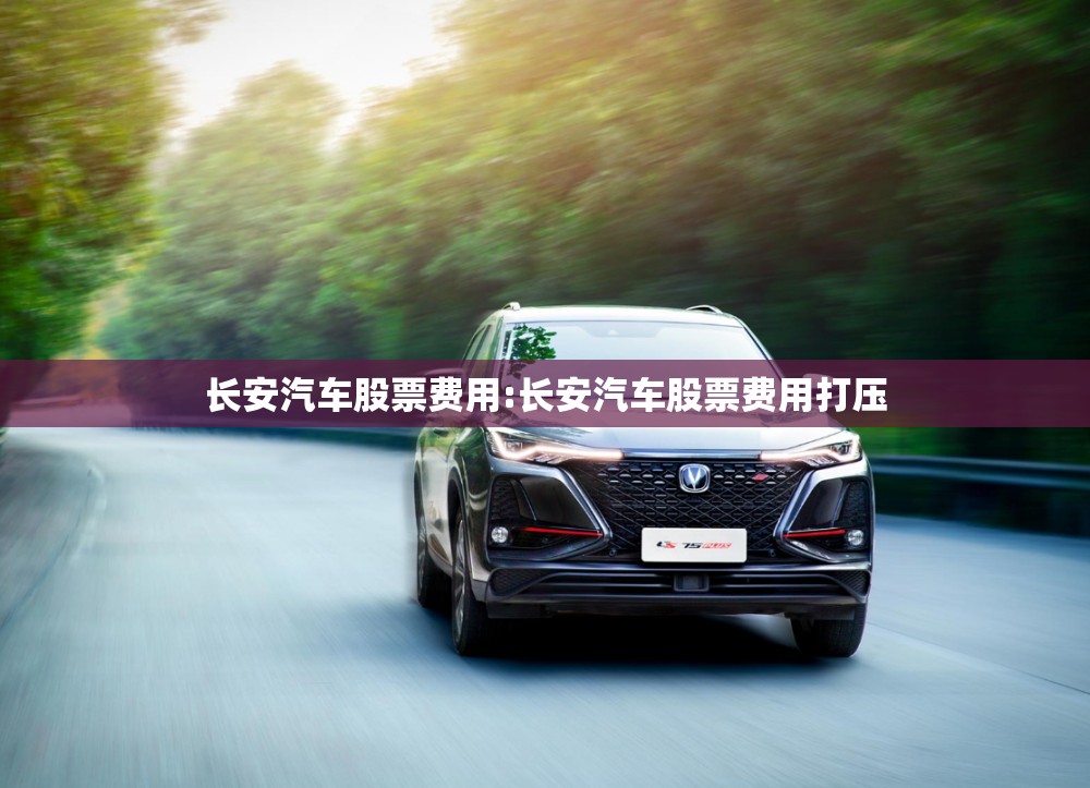 长安汽车股票费用:长安汽车股票费用打压