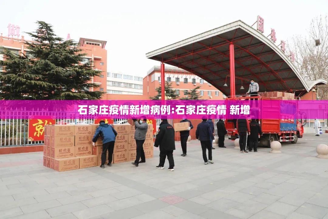 石家庄疫情新增病例:石家庄疫情 新增