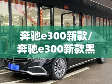 奔驰e300新款/奔驰e300新款黑色立标照片