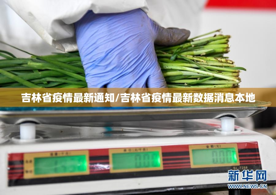 吉林省疫情最新通知/吉林省疫情最新数据消息本地