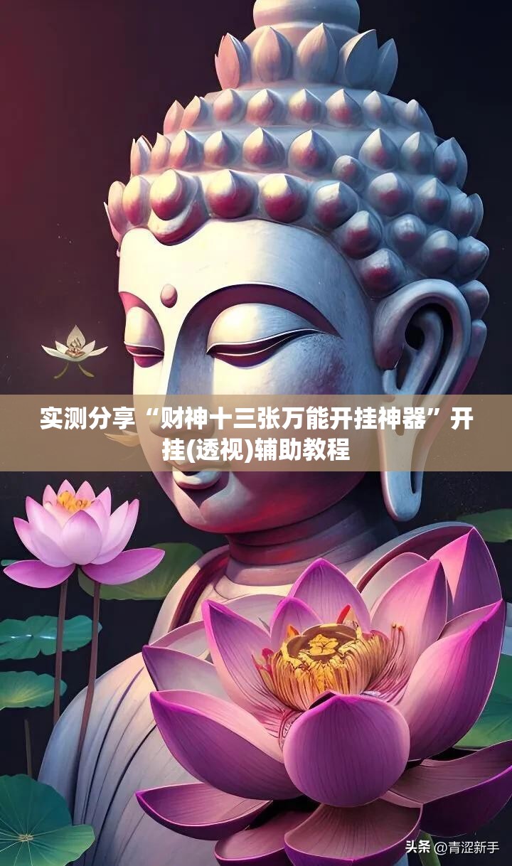 实测分享“财神十三张万能开挂神器”开挂(透视)辅助教程