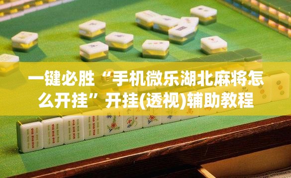 一键必胜“手机微乐湖北麻将怎么开挂”开挂(透视)辅助教程