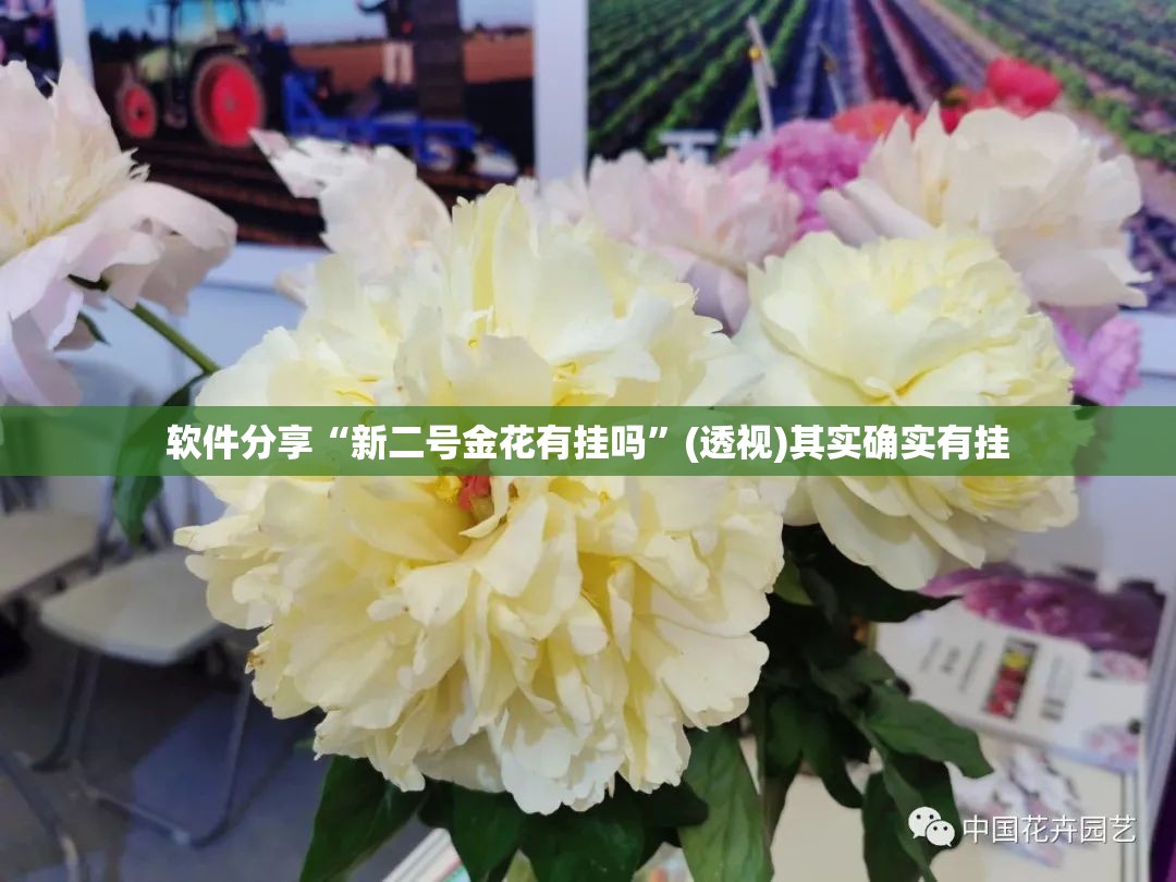 软件分享“新二号金花有挂吗”(透视)其实确实有挂