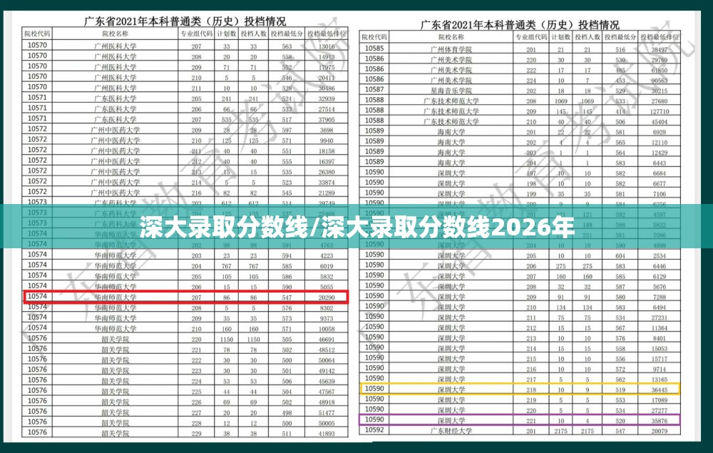 深大录取分数线/深大录取分数线2026年
