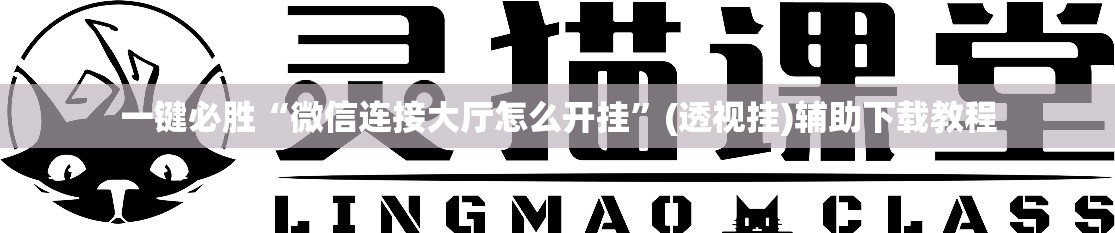 一键必胜“微信连接大厅怎么开挂”(透视挂)辅助下载教程