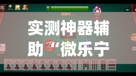 实测神器辅助“微乐宁夏捉麻子必赢神器”(辅助神器)开挂详细教程